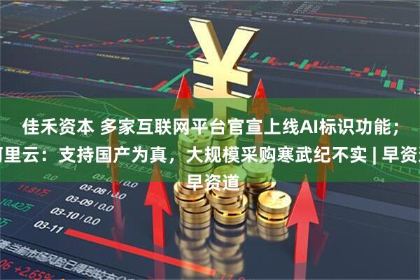 佳禾资本 多家互联网平台官宣上线AI标识功能；阿里云：支持国产为真，大规模采购寒武纪不实 | 早资道