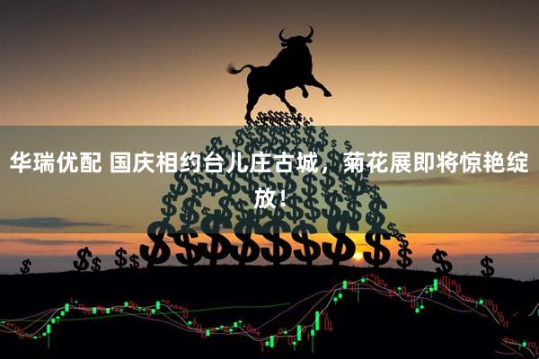 华瑞优配 国庆相约台儿庄古城，菊花展即将惊艳绽放！